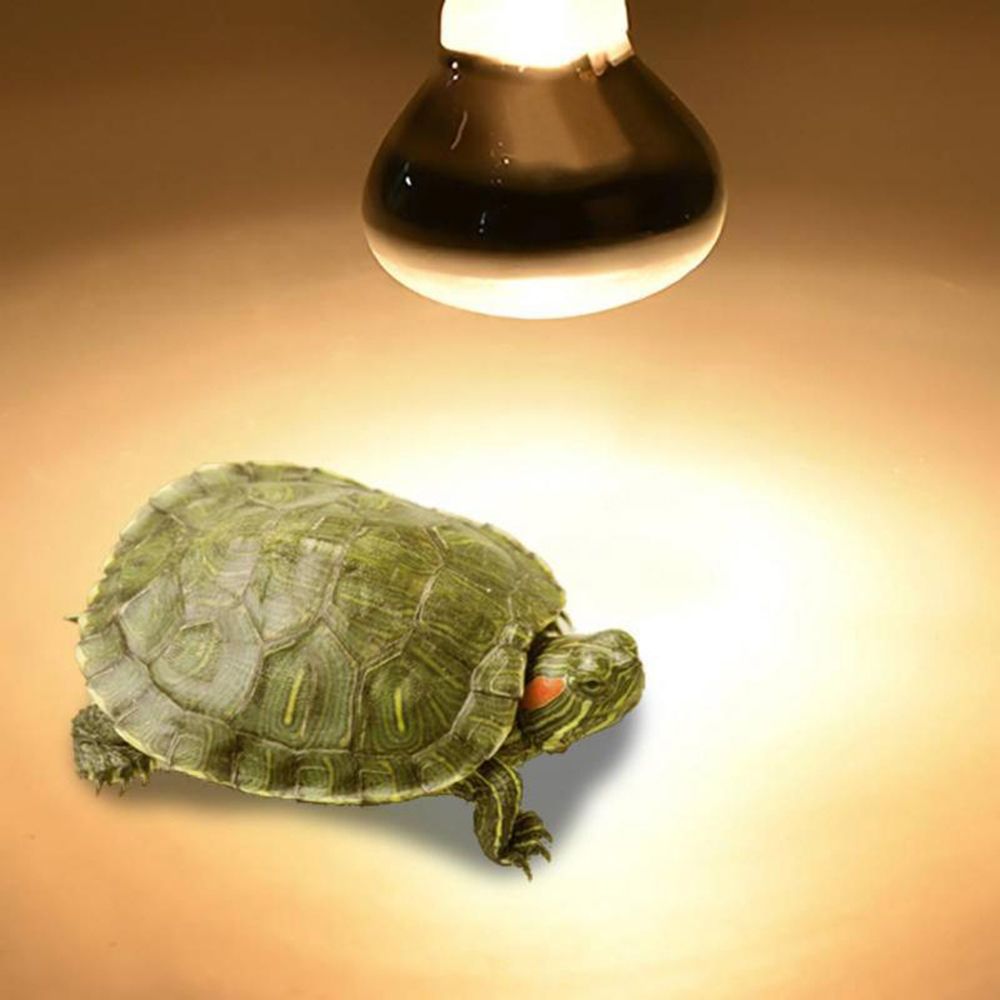 Basking Bulb Halogen - 도마뱀 히터 열등 UVA 라이트 파충류