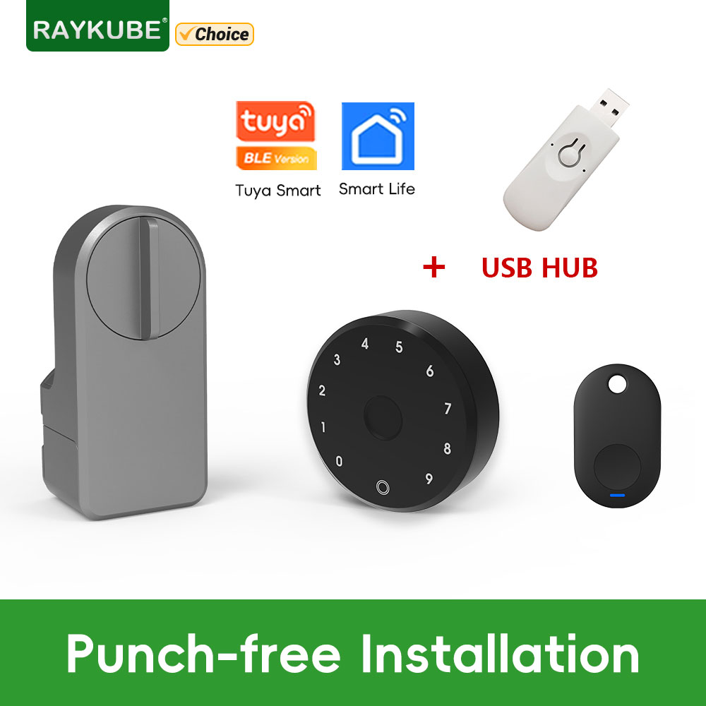 Glass Door Hinge - RAYKUBE A1 Pro Tuya BEL 스마트
