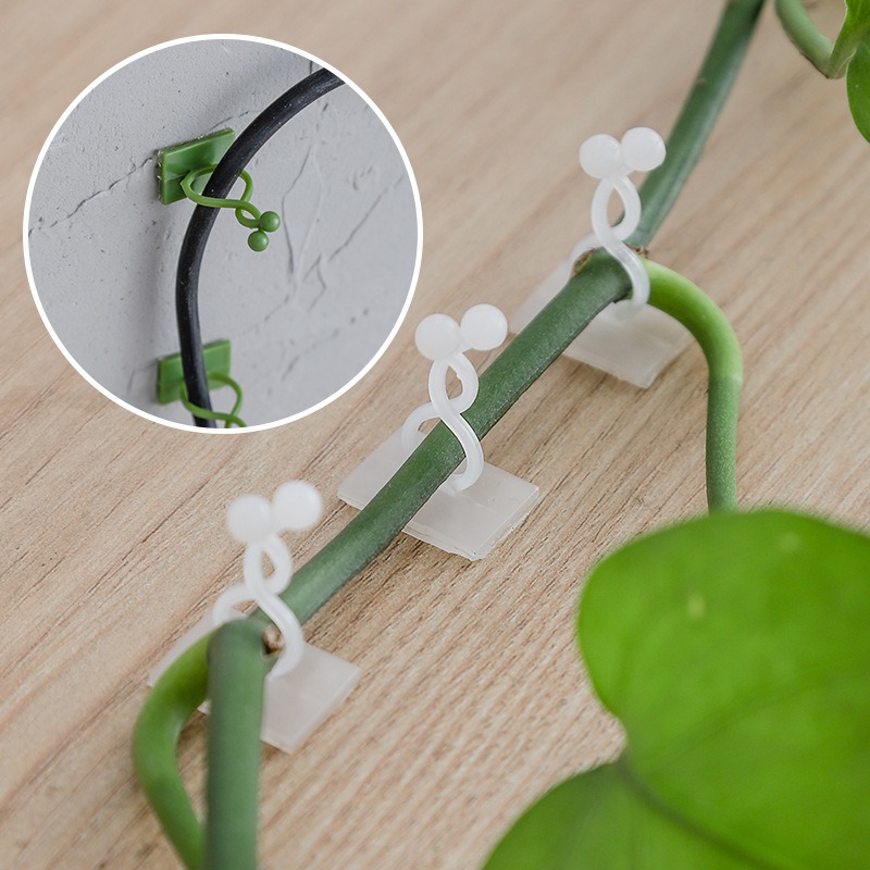Vine Climbing Plastic - 10Pcs 식물 벽 고정 후크 범용