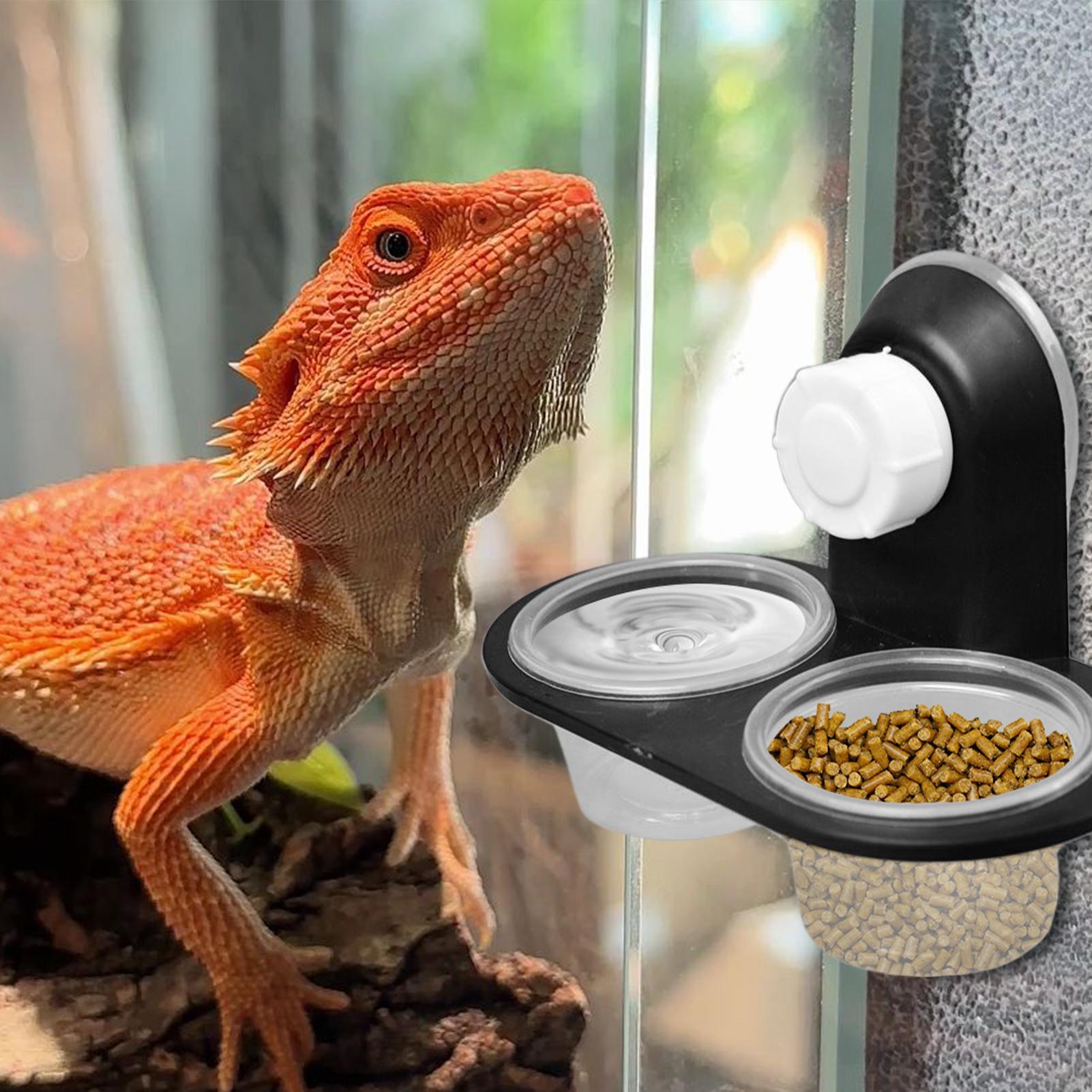 Water Dish Reptile - 게코 먹이 접시, 게코 물통 디스펜서,