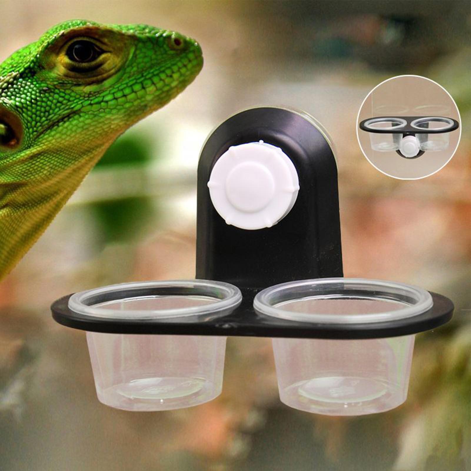 Water Dish Reptile - 게코 먹이 접시 게코 먹이통 디스펜서