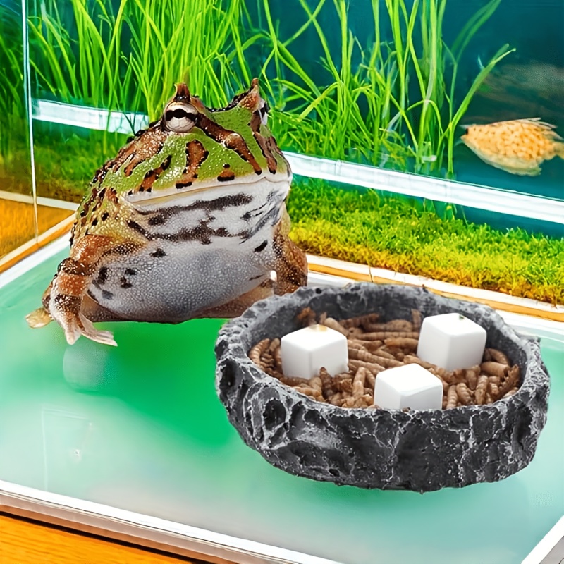 Calcium Powder Reptile - 6개입 어항 칼슘 블록 미네랄, 파충류/거북이/달팽이용