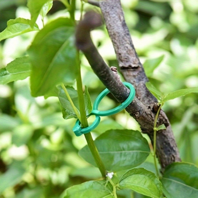125개 정원 식물 지지대 키트, 덩굴 클립, 꼬임 결 - Vine Climbing Plastic 리뷰 및 가격