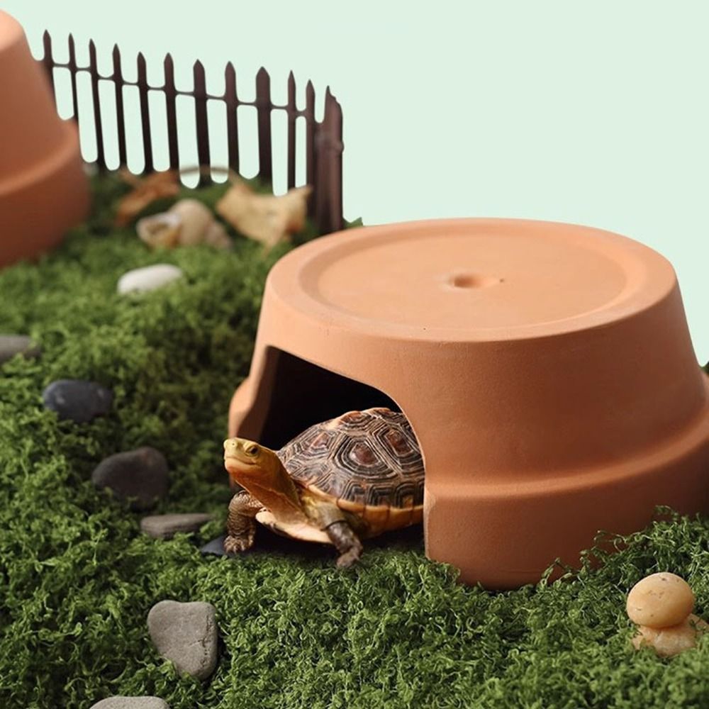 다기능 세라믹 파충류 은신처 장식용 거북이 은신처 입구 - Hide Cave Ceramic 리뷰 및 가격