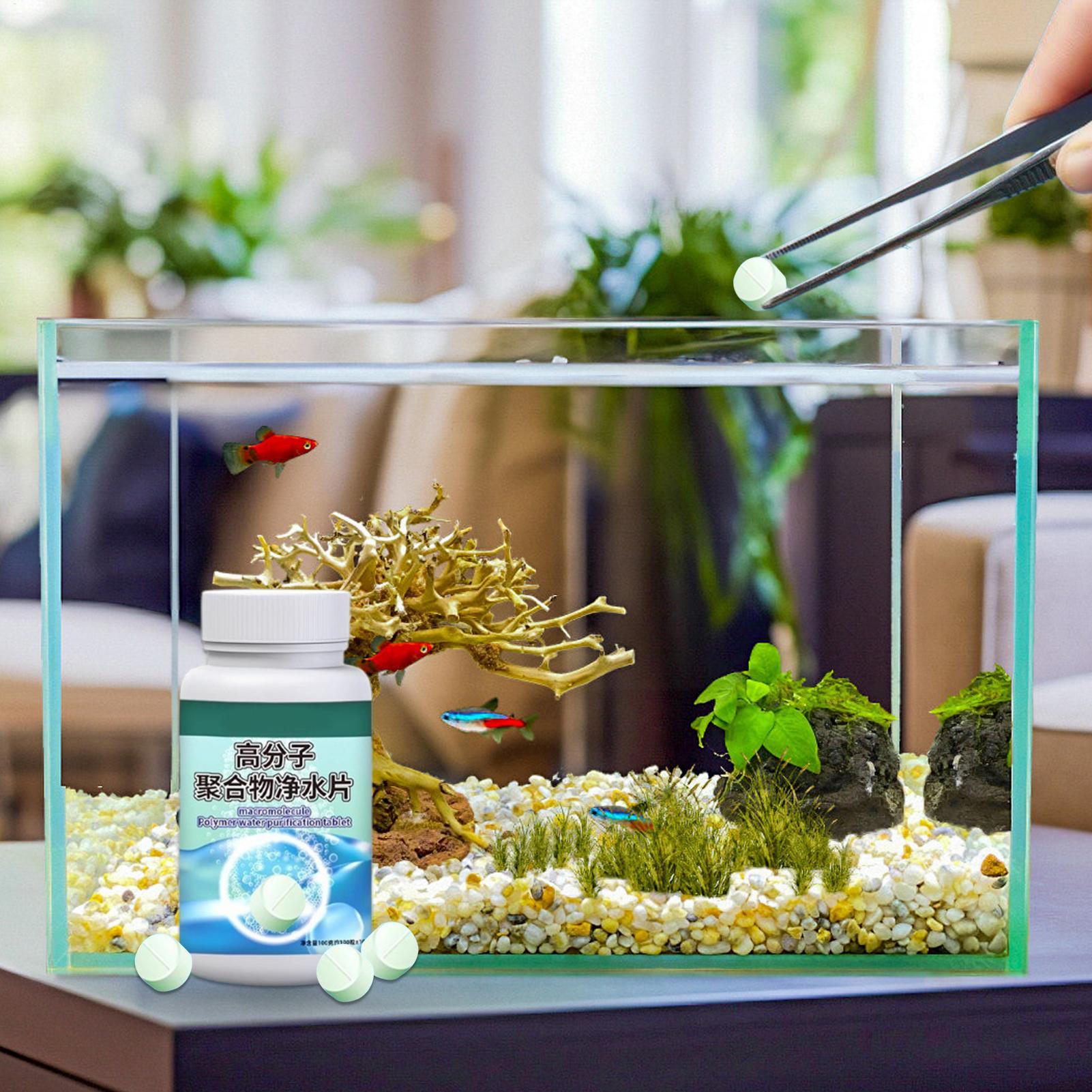 어항 물 정화제 알개 제거제 타블렛, 분수, 베타, 새 - Water Dish Reptile 리뷰 및 가격