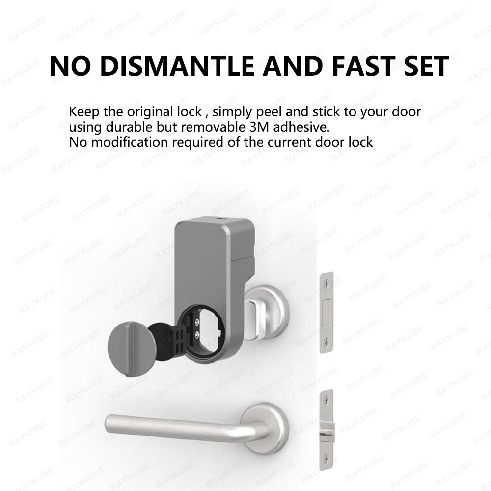 RAYKUBE A1 Pro Tuya BEL 스마트 도어 - Glass Door Hinge 리뷰 및 가격