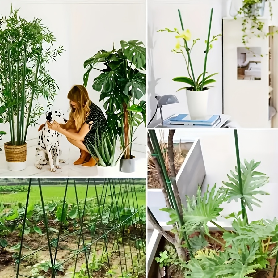녹슬지 않는 야채 등반 프레임 키트, 오이, 토마토,  - Vine Climbing Plastic 리뷰 및 가격