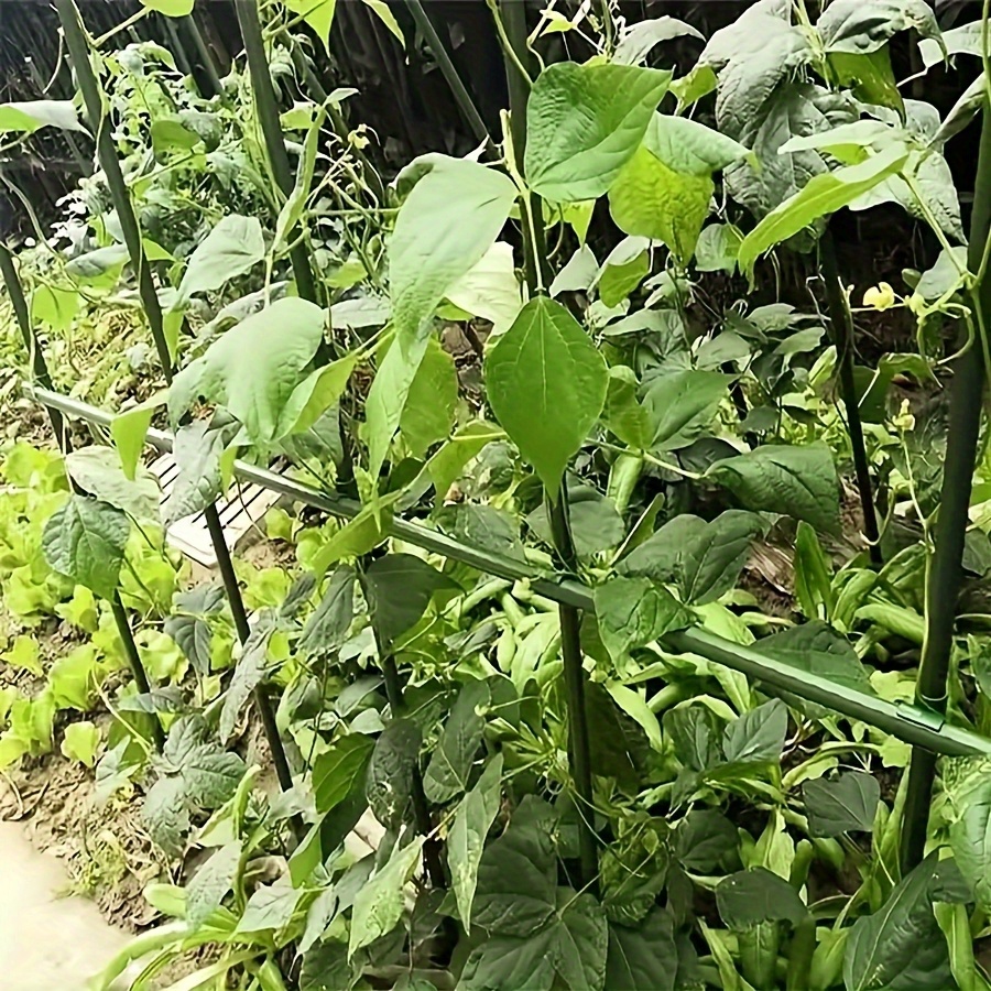 녹슬지 않는 야채 등반 프레임 키트, 오이, 토마토,  - Vine Climbing Plastic 리뷰 및 가격