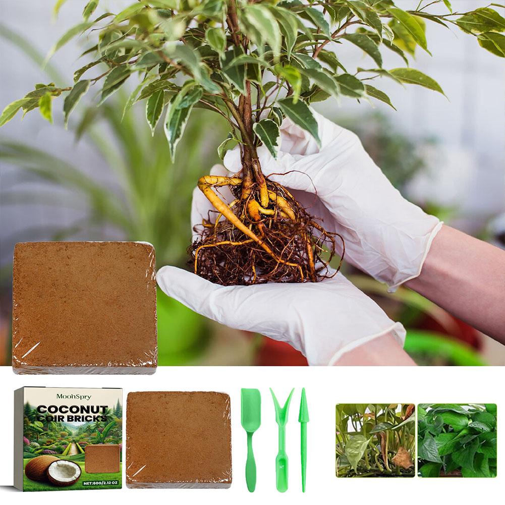 파충류 코코넛 토양 코아 프레스 코코넛 섬유 기질, 도 - Substrate Coconut Fiber 리뷰 및 가격