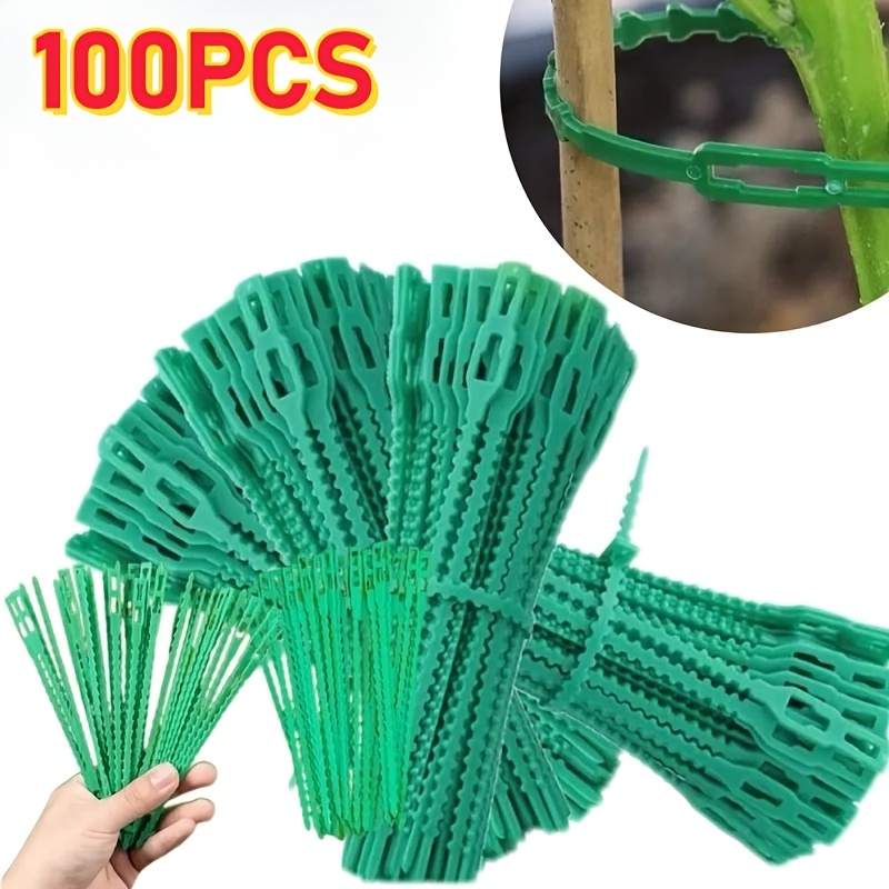100개 재사용 가능한 조절식 식물 결속끈, 덩굴식물, - Vine Climbing Plastic 리뷰 및 가격