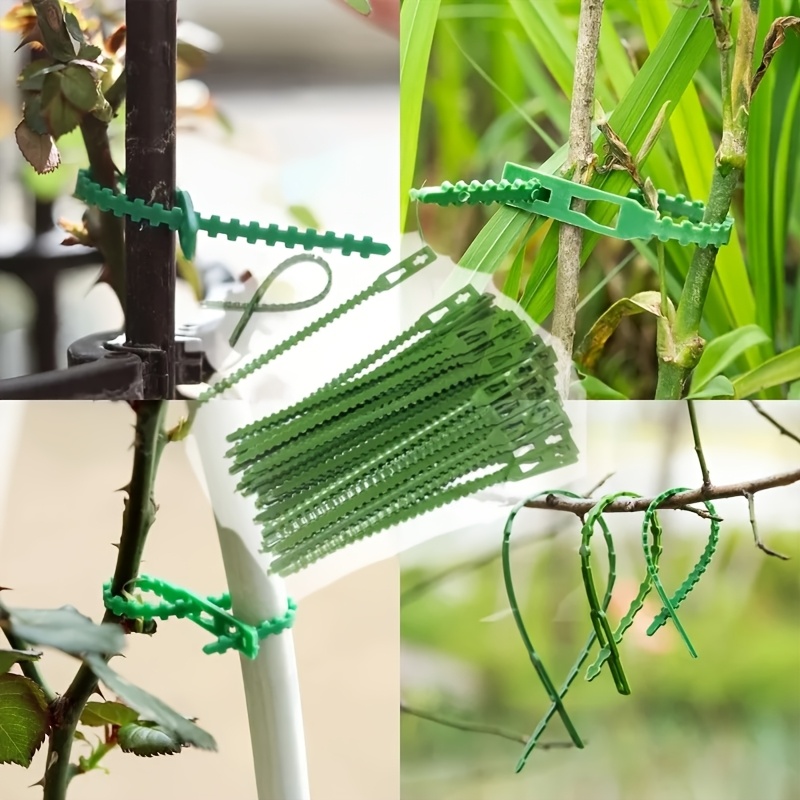 100개 재사용 가능한 조절식 식물 결속끈, 덩굴식물, - Vine Climbing Plastic 리뷰 및 가격