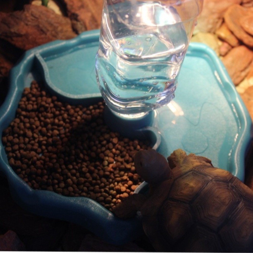 새로운 이동식 파충류 먹이통, 간편 세척, 대용량, 소 - Water Dish Reptile 리뷰 및 가격