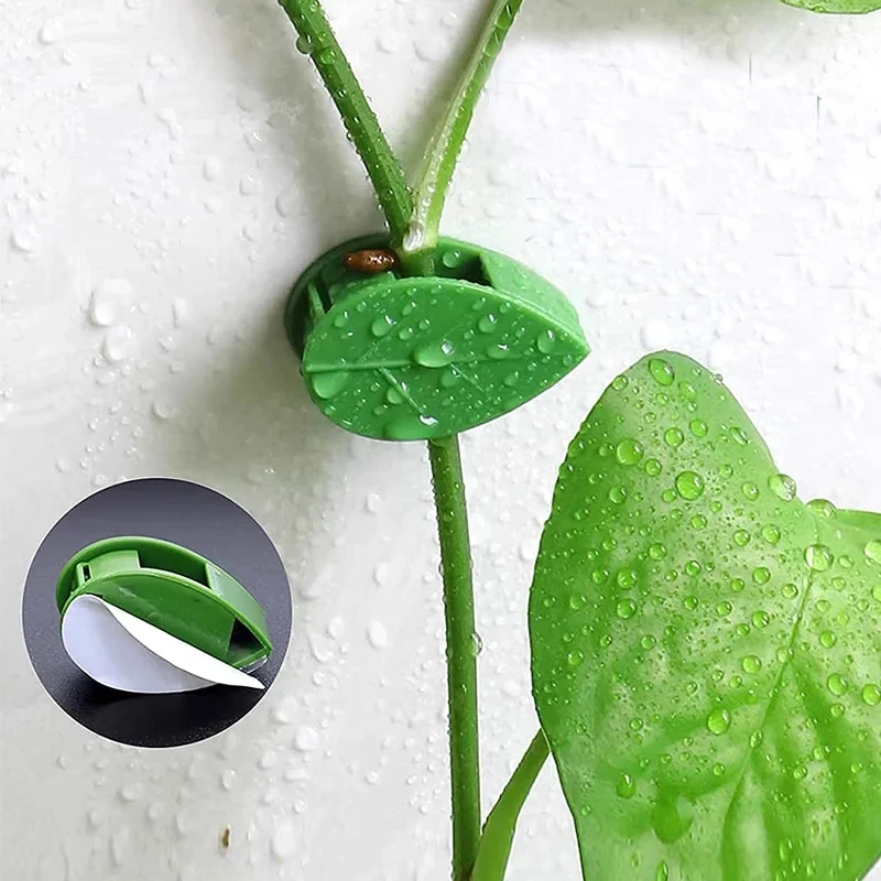 10-90pcs 식물 고정 클립 자체 접착식 잎 모양의 - Vine Climbing Plastic 리뷰 및 가격