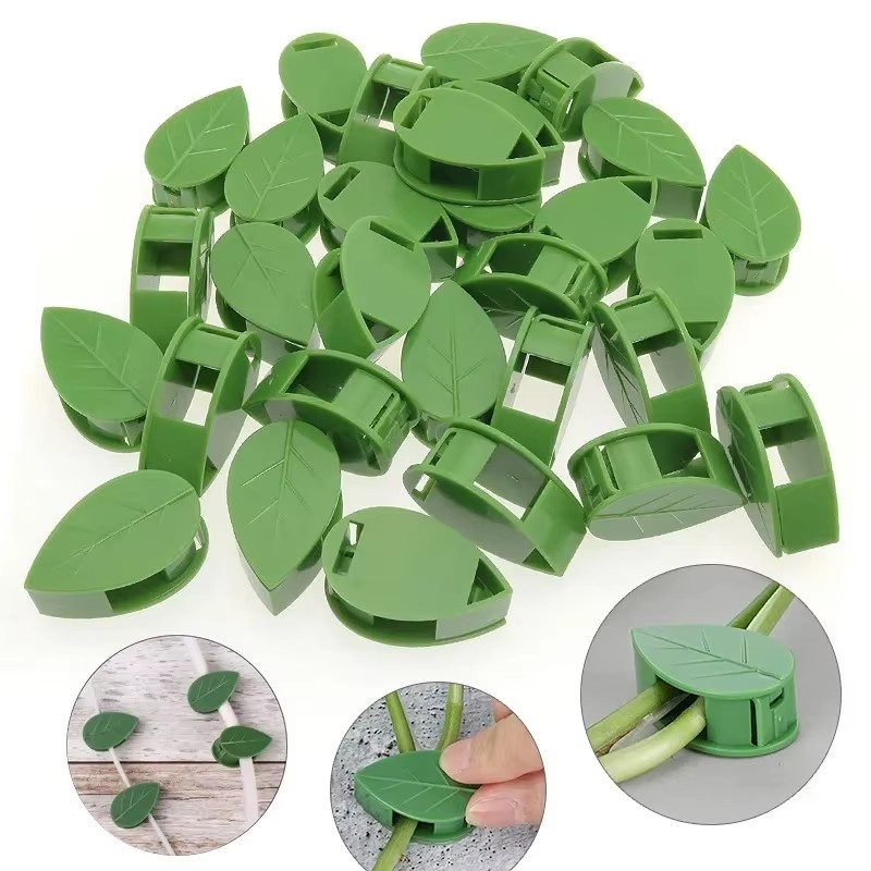 10-90pcs 식물 고정 클립 자체 접착식 잎 모양의 - Vine Climbing Plastic 리뷰 및 가격