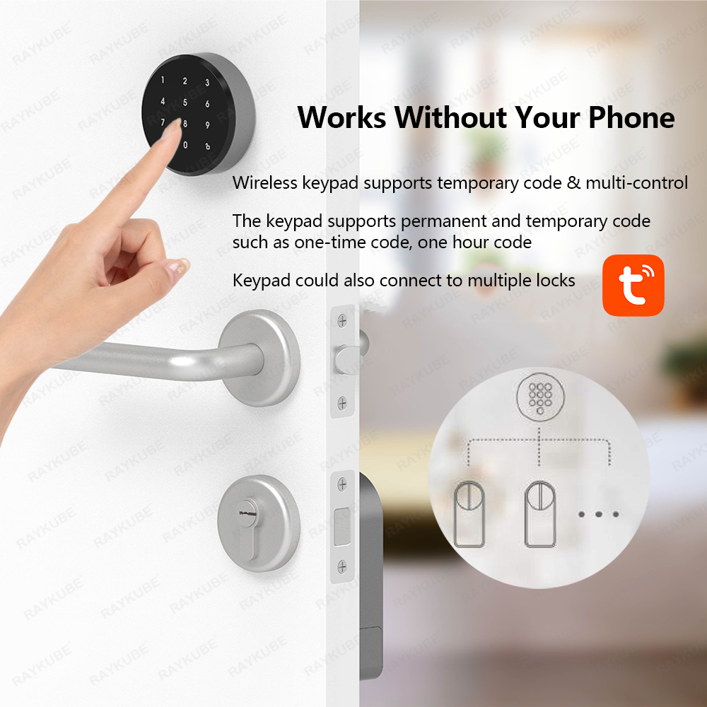 RAYKUBE A1 Pro Tuya BEL 스마트 전자 - Glass Door Hinge 리뷰 및 가격