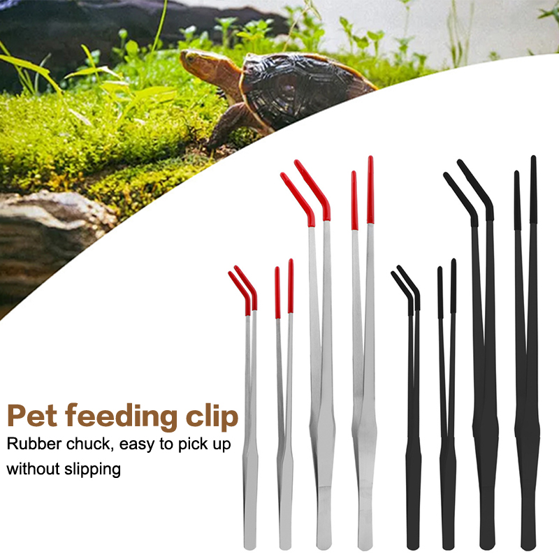 스테인리스 스틸 어항 관리 도구, 고무 팁이 있는 파충 - Feeding Tong Stainless 리뷰 및 가격