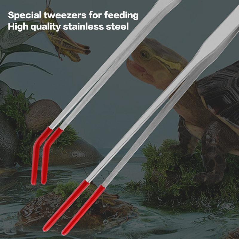 스테인리스 스틸 어항 관리 도구, 고무 팁이 있는 파충 - Feeding Tong Stainless 리뷰 및 가격