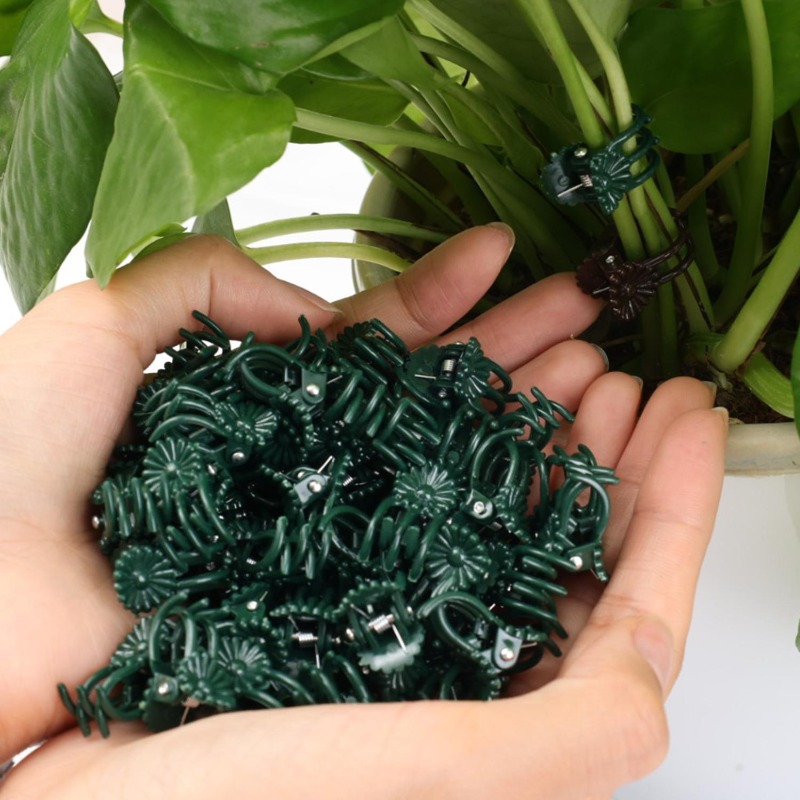 정원 꽃 난초 덩굴 식물 고정 클립 가지 토마토 포도  - Vine Climbing Plastic 리뷰 및 가격