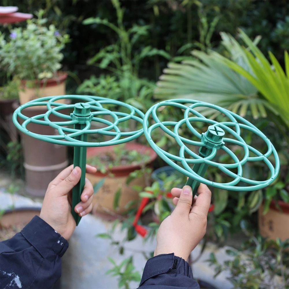 S/M/L 플라스틱 정원 쌓을 수있는 분재 등반 프레임 - Vine Climbing Plastic 리뷰 및 가격