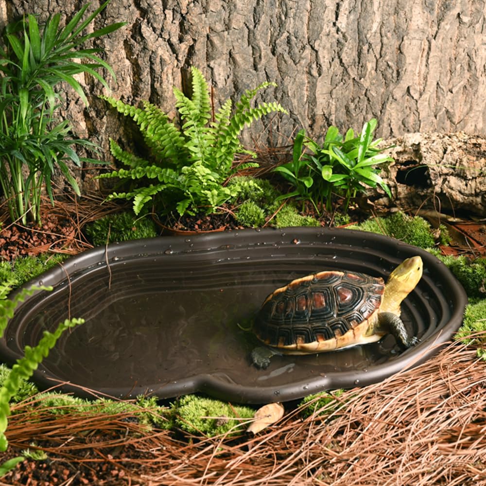 파충류 목욕 접시 양서류 서식지 파충류 거북이 먹이통  - Water Dish Reptile 리뷰 및 가격