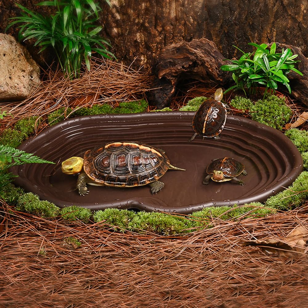 파충류 목욕 접시 양서류 서식지 파충류 거북이 먹이통  - Water Dish Reptile 리뷰 및 가격