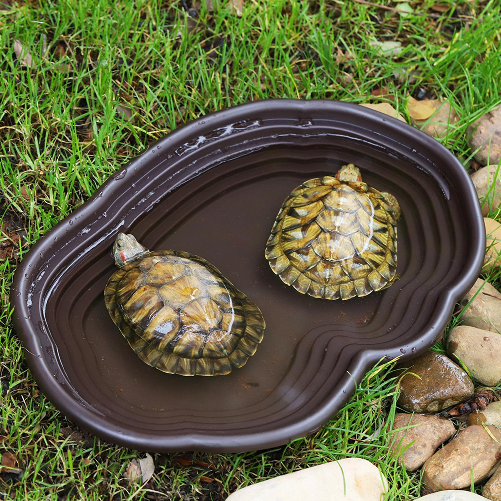 파충류 목욕 접시 거북이 피더 양서류 서식지 파충류 물 - Water Dish Reptile 리뷰 및 가격
