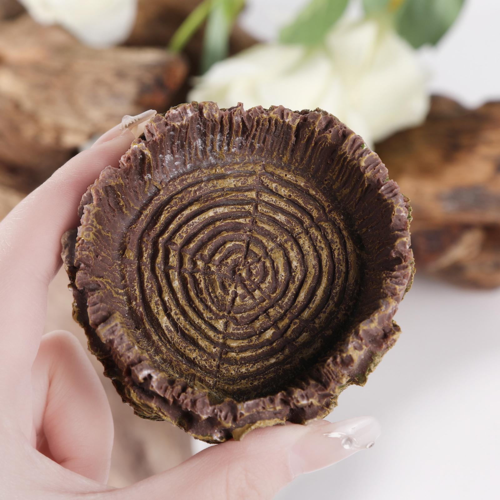 파충류 목욕 접시 거북이 피더 양서류 서식지 파충류 물 - Water Dish Reptile 리뷰 및 가격