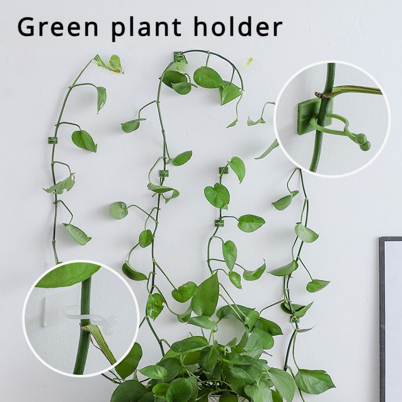 10Pcs 식물 벽 고정 후크 범용 덩굴 등반 홀더 가 - Vine Climbing Plastic 리뷰 및 가격