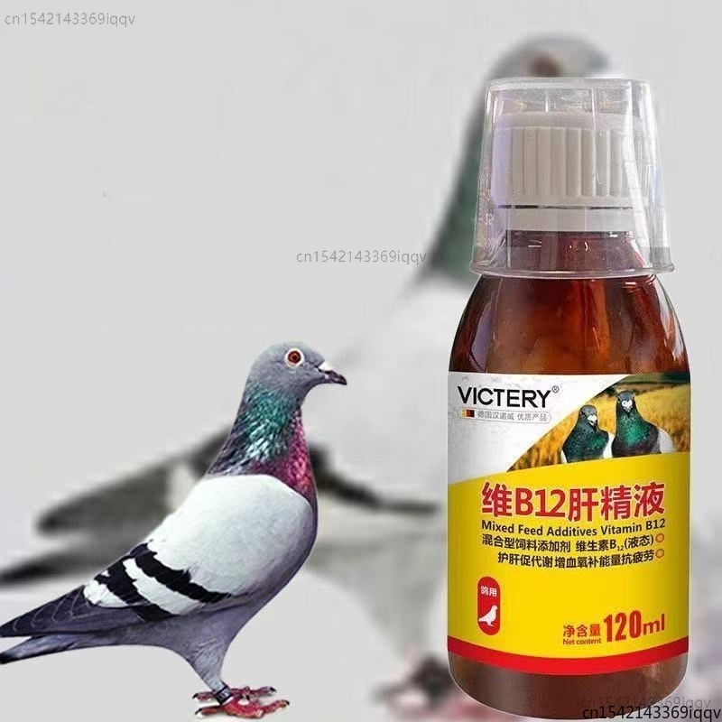 120ml 레이싱 비둘기 토닉 비타민 B12 간 보충제 - Vitamin D3 Reptile 리뷰 및 가격