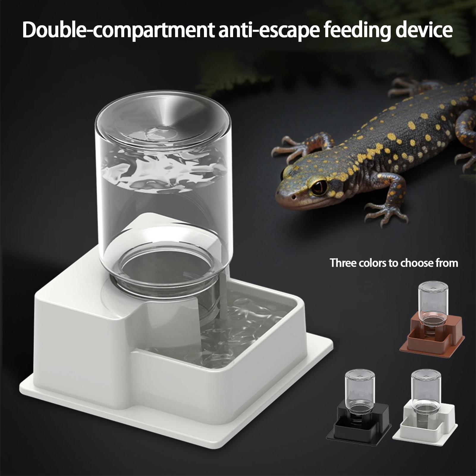 자동 파충류 물통 재사용 가능 용기 독창적인 급수기 장 - Water Dish Reptile 리뷰 및 가격