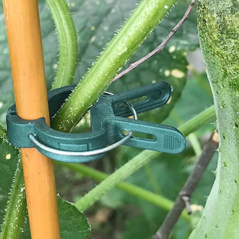 식물 고정 클립 재사용 가능 정원 덩굴 클램프, 온실  - Vine Climbing Plastic 리뷰 및 가격