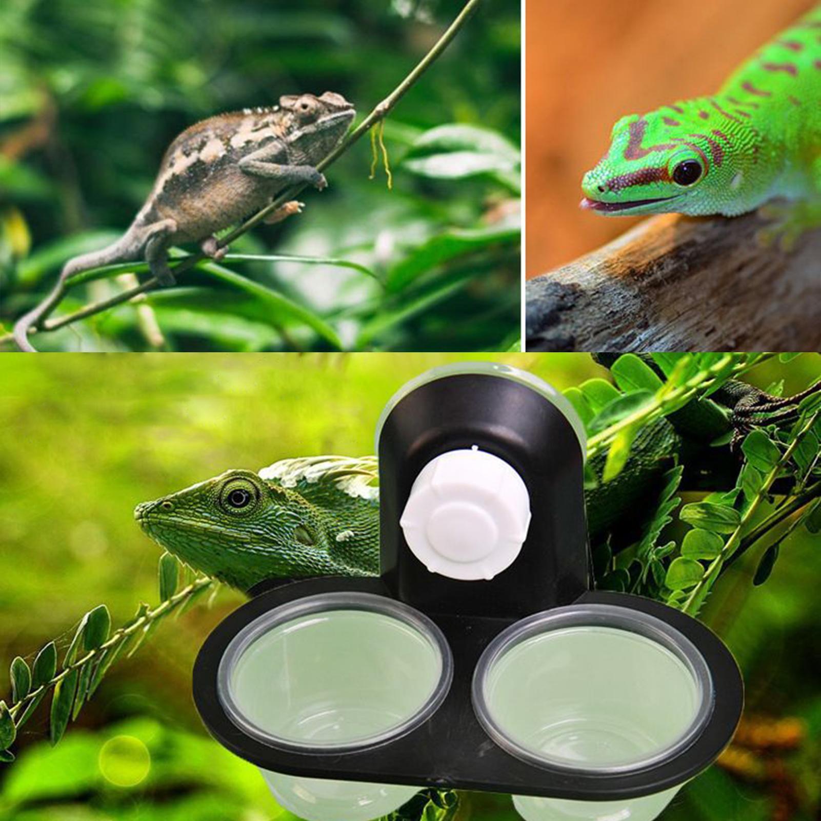 게코 먹이 접시, 게코 물통 디스펜서, 4컵 레지 액세 - Water Dish Reptile 리뷰 및 가격