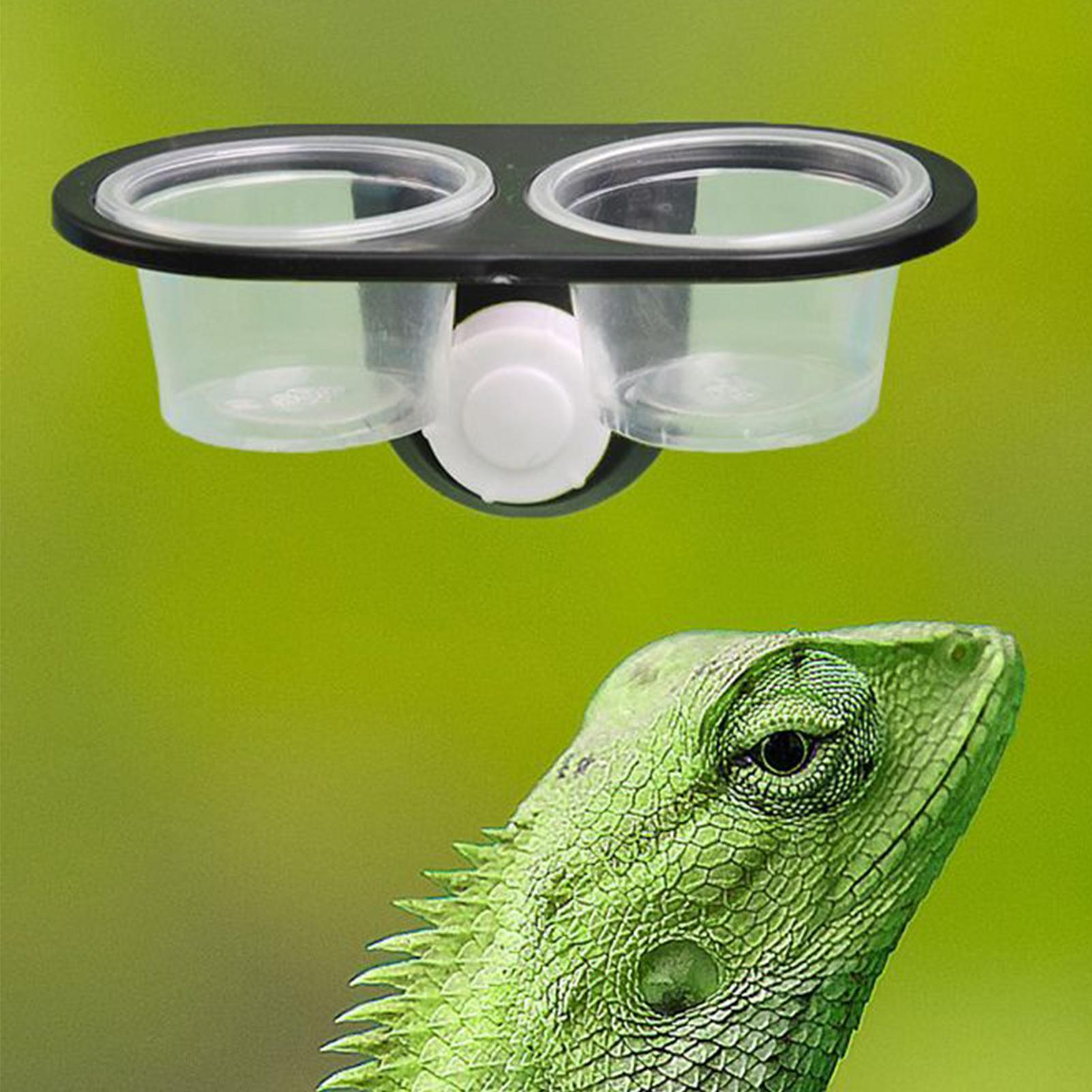 게코 먹이 접시 게코 먹이통 디스펜서 편리한 청소가 가 - Water Dish Reptile 리뷰 및 가격