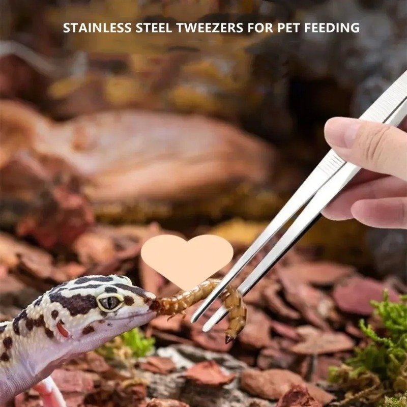 스테인레스 다기능 스틸 엘보 핀셋 수족관 클립 긴 집게 - Feeding Tong Stainless 리뷰 및 가격