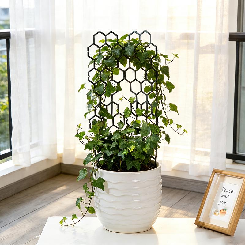1/5개 벌집 디자인 식물용 새 제품 실내외 정원 등반 - Vine Climbing Plastic 리뷰 및 가격