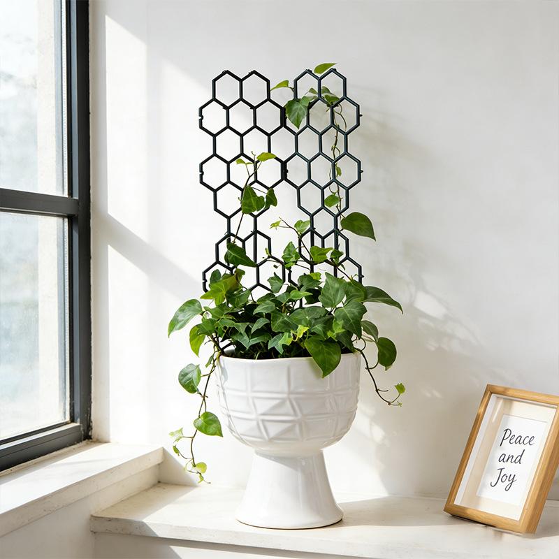 1/5개 벌집 디자인 식물용 새 제품 실내외 정원 등반 - Vine Climbing Plastic 리뷰 및 가격