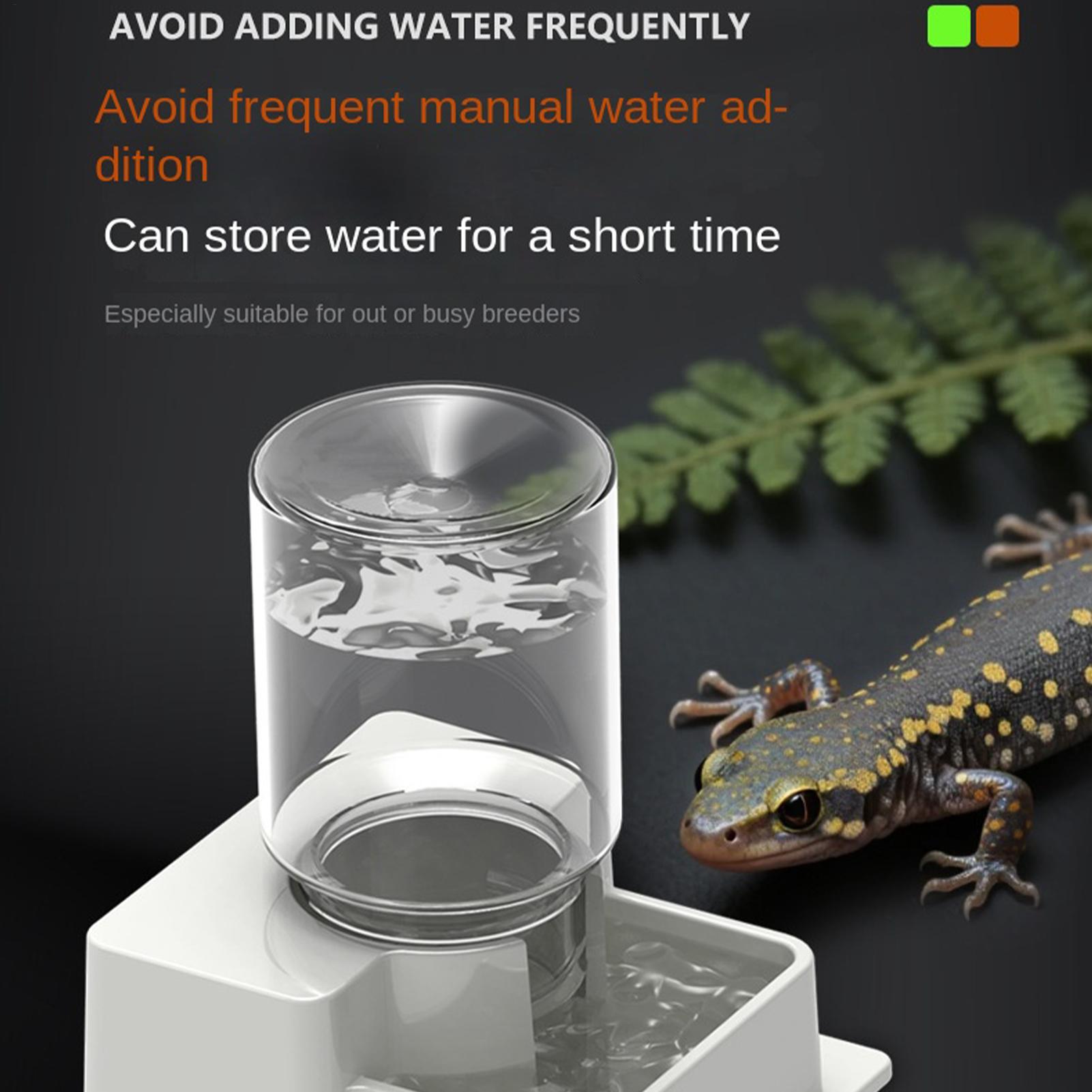 비어디드 드래곤 자동 급수기, 테라리움 물통, 거북이  - Water Dish Reptile 리뷰 및 가격