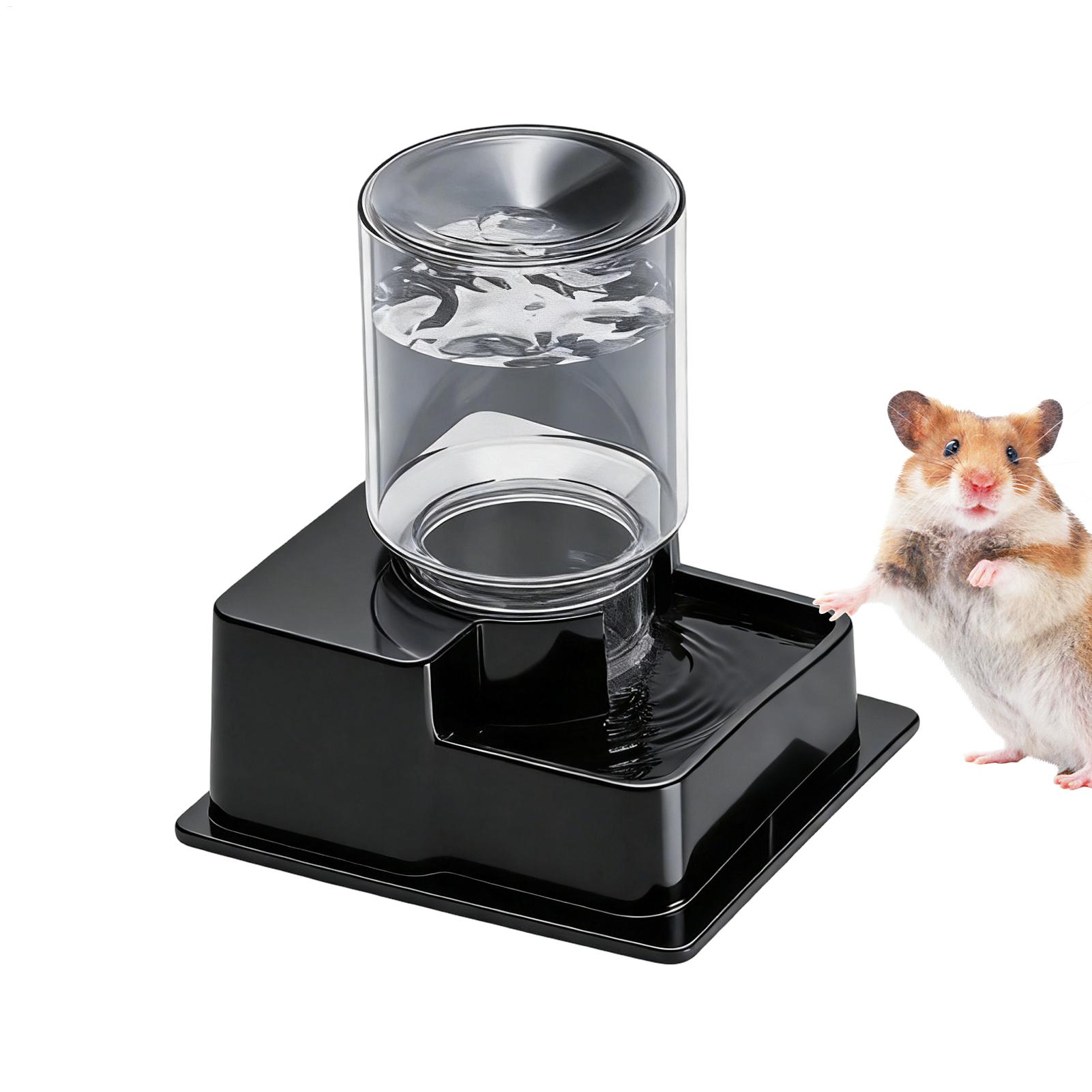 비어디드 드래곤 물 분수, 파충류 자동 급수기, 거북이 - Water Dish Reptile 리뷰 및 가격