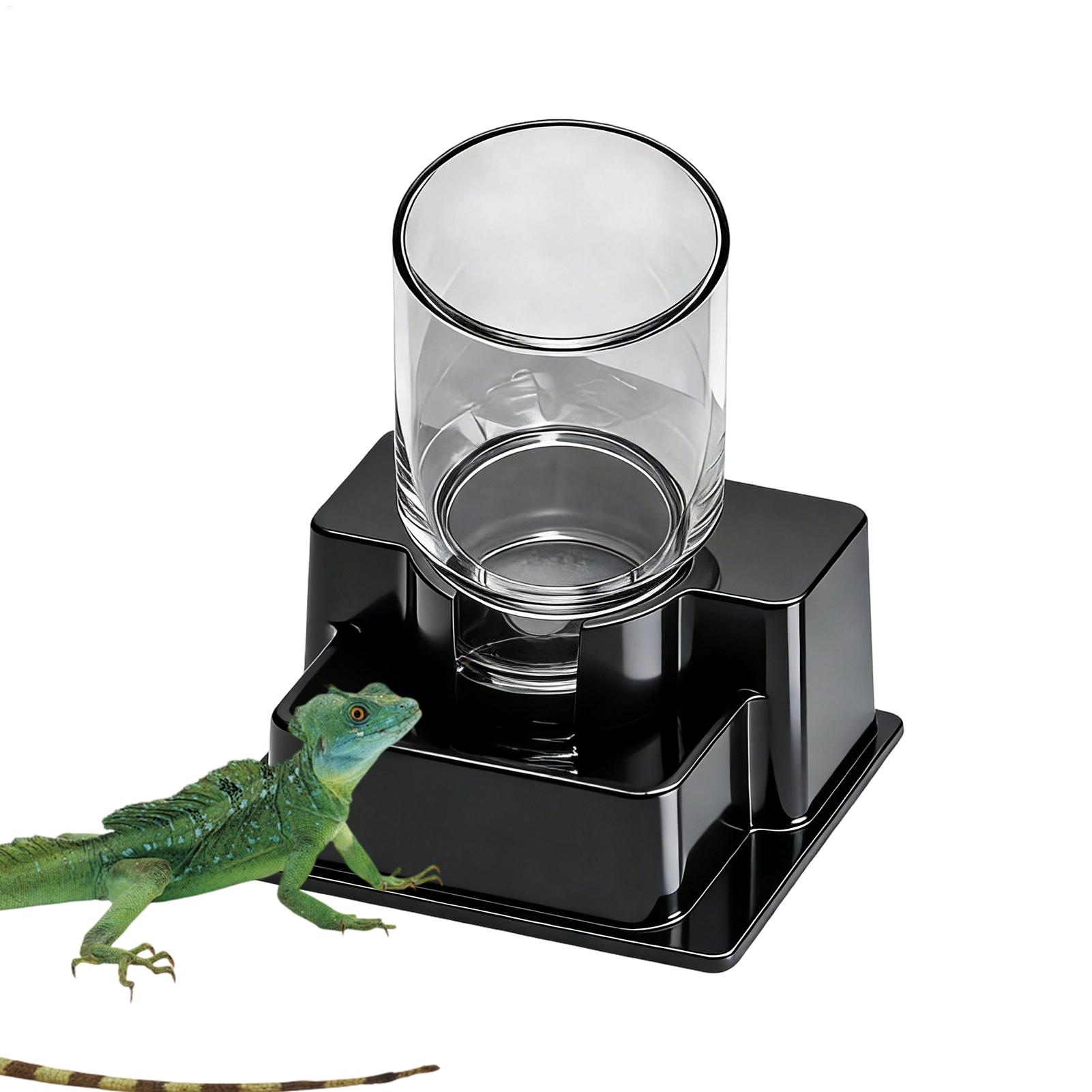 비어디드 드래곤 물 분수, 파충류 자동 급수기, 거북이 - Water Dish Reptile 리뷰 및 가격