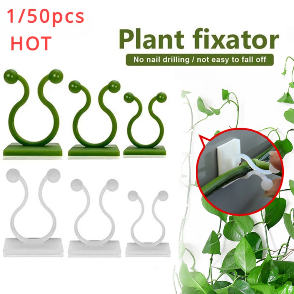 정원 액세서리에 대 한 1/30/50Pcs 식물 정원  - Vine Climbing Plastic 리뷰 및 가격