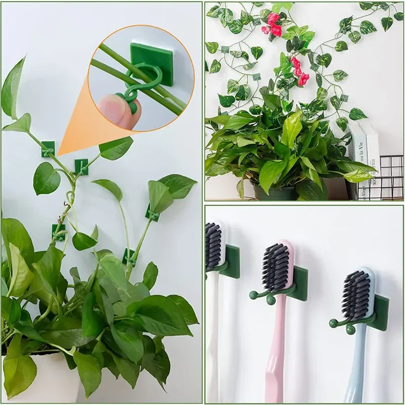 정원 액세서리에 대 한 1/30/50Pcs 식물 정원  - Vine Climbing Plastic 리뷰 및 가격