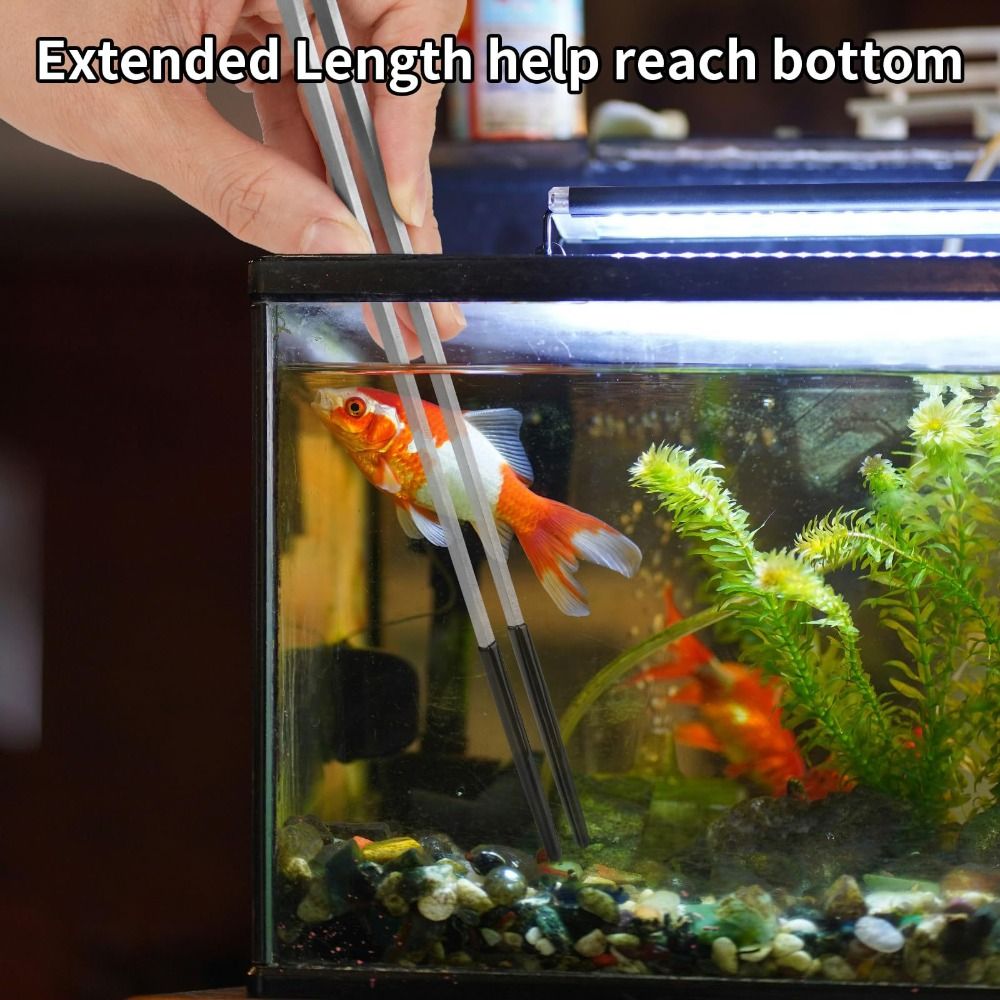 스테인레스 스틸 수족관 먹이 핀셋 고무 헤드 27CM  - Feeding Tong Stainless 리뷰 및 가격