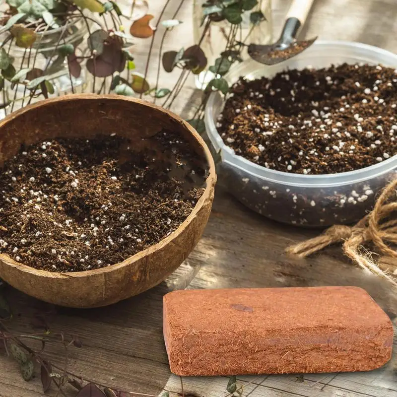 파충류 코코넛 토양 천연 코코넛 섬유 기질 도마뱀 거북 - Substrate Coconut Fiber 리뷰 및 가격