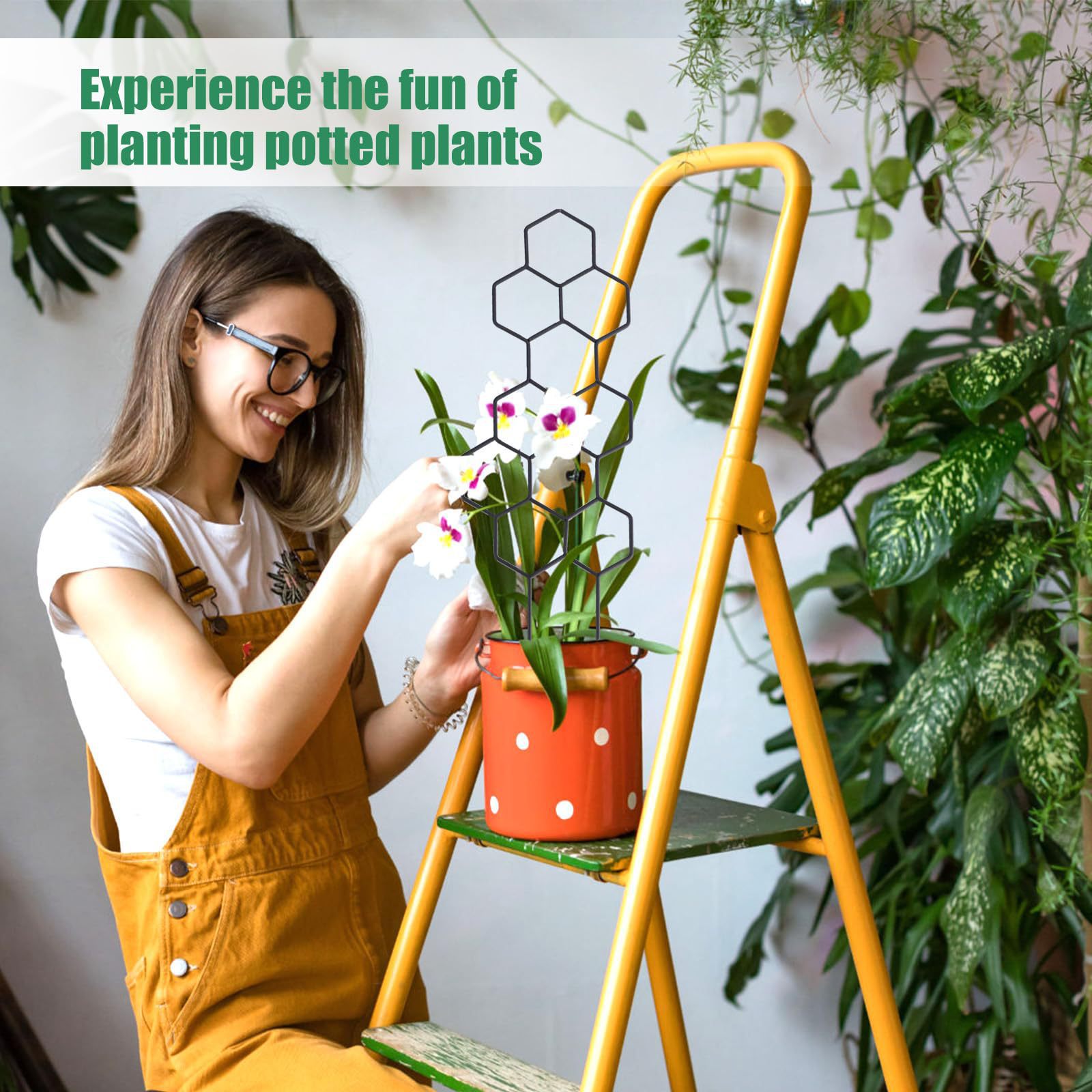 1PC 벌집형 디자인 식물 지지대, 화분에 심은 덩굴식 - Vine Climbing Plastic 리뷰 및 가격