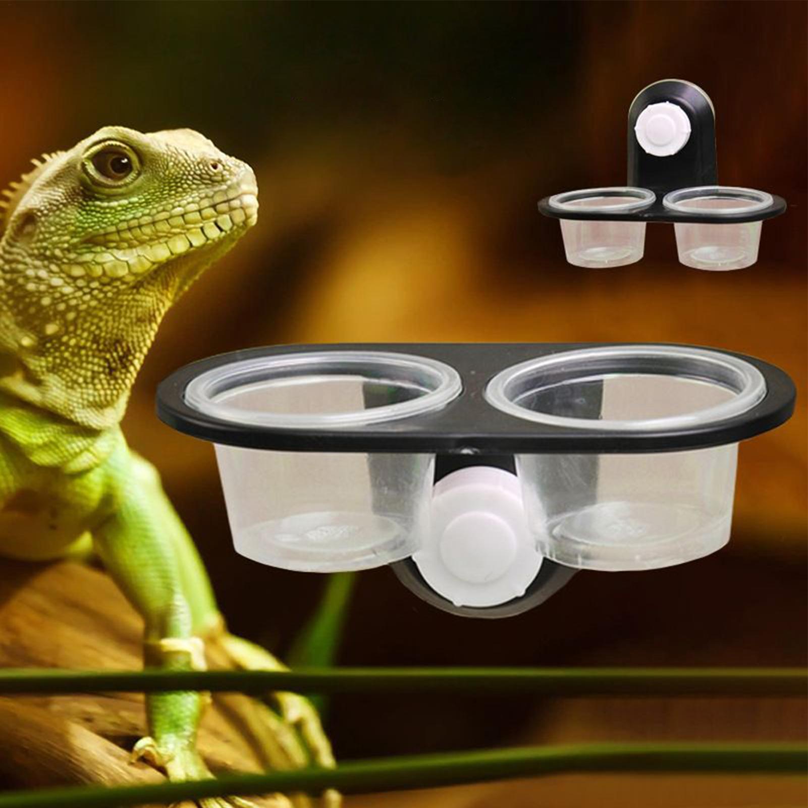 거북이 사료 접시, 파충류 수조용 물통, 4컵 레지 액 - Water Dish Reptile 리뷰 및 가격