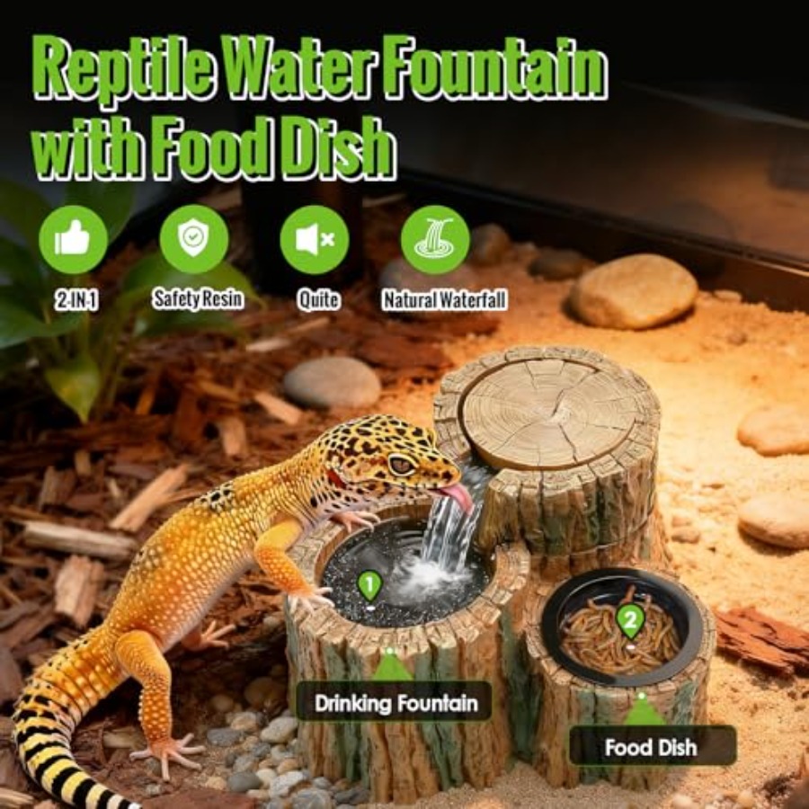 2 in 1 파충류 물 분수대(식수통 포함) 550ML - Water Dish Reptile 리뷰 및 가격